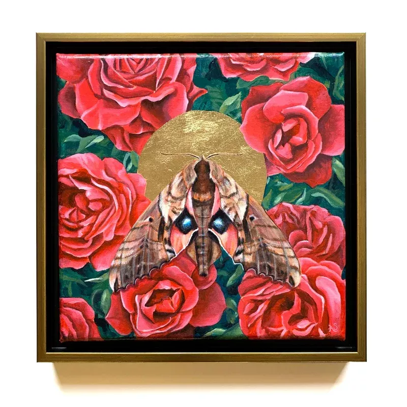 "Flourish" Blinded Sphinx Moth Painting 10x10