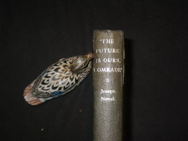 future-is-ours-comrade-conversations-with-russians-1st-edition-by-joseph-novak-b 'The Future Is Ours, Comrade' - Conversations With The Russians (1st edition) by 'Joseph Novak'. The Bodley Head, 1960