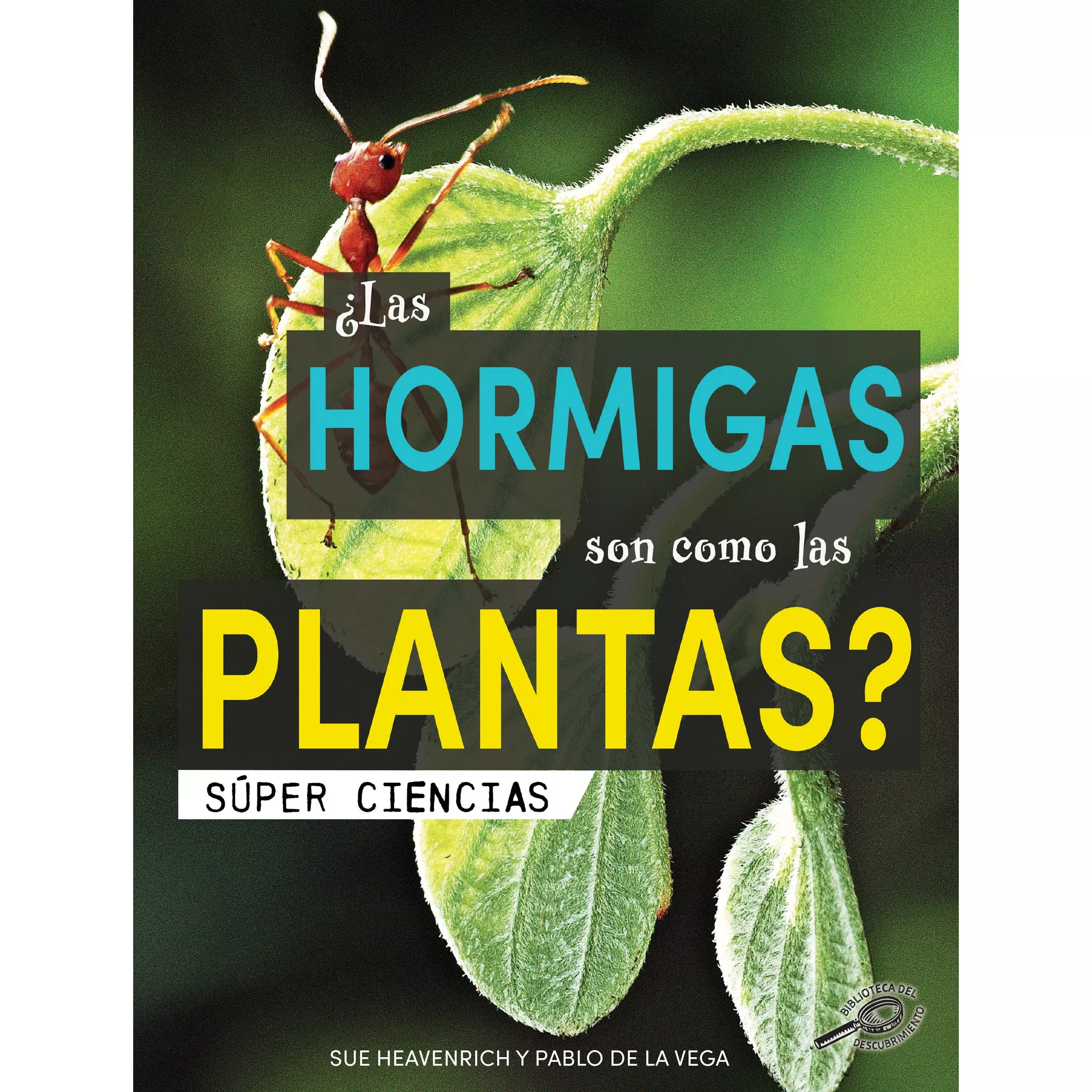 las-hormigas-son-como-las-plantas ¿Las hormigas son como las plantas?
