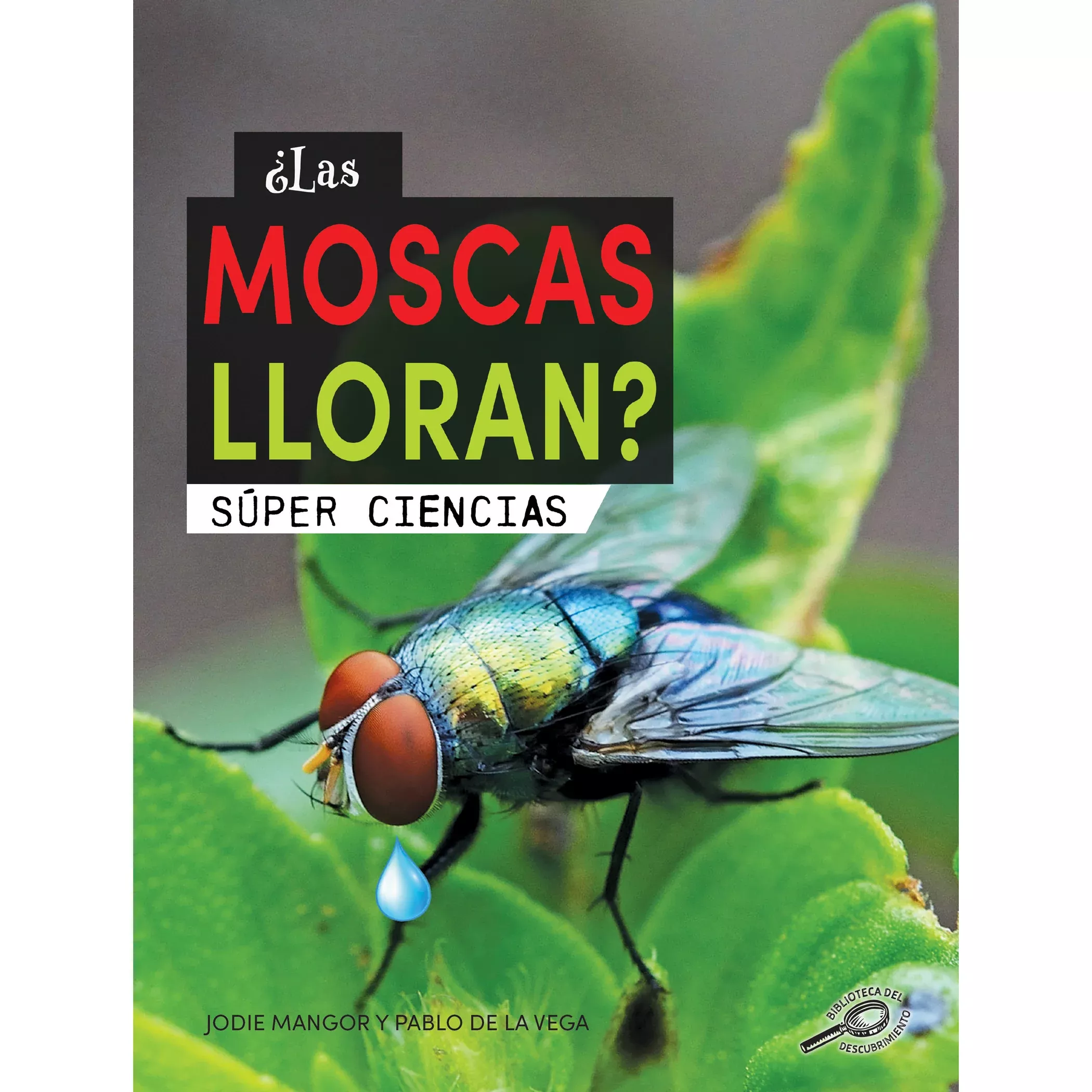 las-moscas-lloran ¿Las moscas lloran?
